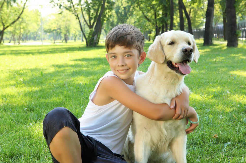 A boy hugging his golden retriever in a sunny park